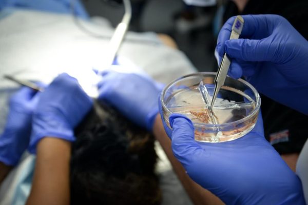 CrownClinic080619-4246-petri-1024x684-1